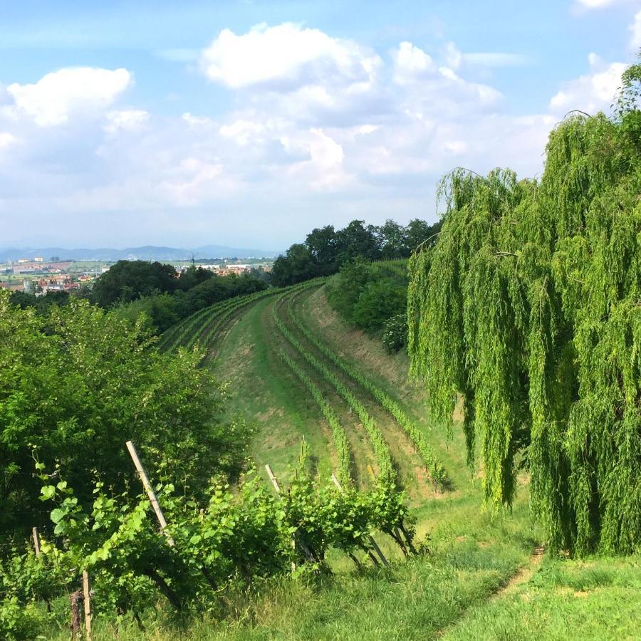 Il Convento Di Villa San Fermo Lonigo Eksteriør bilde